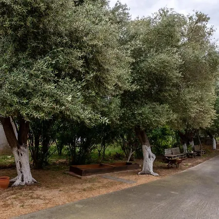 Apartament De Bosset *